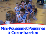 Mini-Poussins et Poussines à CORNEBARRIEU Mini-Poussins et Poussines à CORNEBARRIEU