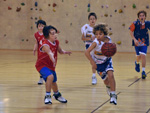 Match des Poussins 1 contre TCMS Match des Poussins 1 contre TCMS