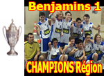 Match Colomiers-TCMS : Colomiers Champion r&eacute;gion !
